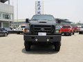 福特F650 2011款 F650 基本型图片