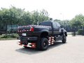 福特F650 2011款 F650 基本型