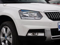 Yeti 2014款 1.4TSI 手动 极地版图片