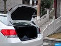 力狮 图片