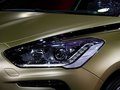 DS 5(進(jìn)口) 圖片