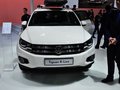 Tiguan 图片