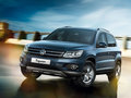Tiguan 图片