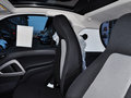 smart fortwo 2014款 1.0 MHD 硬顶新年特别版图片