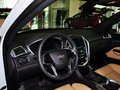 凯迪拉克SRX 3.0L 领先型 5座 2014款图片