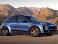 Macan 2014款 Macan