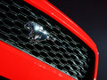 Mustang MUSTANG 基本型 2014款图片