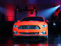 Mustang MUSTANG 基本型 2014款圖片
