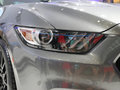 Mustang 2015款 野马图片