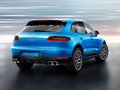 Macan Macan S 2014款图片
