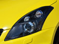 速翼特 1.6L 手动 两驱豪华版 2014款图片