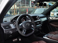奔驰M级AMG ML63 AMG 5座 2014款图片