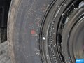 阳光 图片