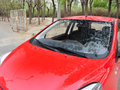 奔奔 1.4L 手動 尊貴版 2014款圖片