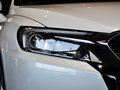 DS 5LS 2014款 1.8L 自動 雅致版 VTi140圖片