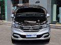 上汽大通MAXUS G10 2.0T 手动 精英版 7座 2014款图片