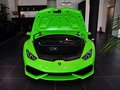 Huracán 基本型 2014款图片