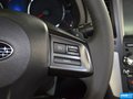 力狮 图片