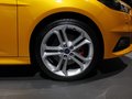 福克斯（进口） 图片