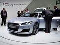 奥迪TT Coupe 45 TFSI quattro劲动型2014款