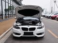 宝马2系（进口） 220i 2.0T 领先型 2014款图片