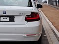 寶馬2系（進口） 220i 2.0T 領先型 2014款圖片