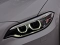 宝马2系（进口） 220i 2.0T 领先型 2014款
