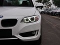 宝马2系（进口） 220i 2.0T 领先型 2014款
