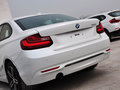 宝马2系（进口） 220i 2.0T 运动设计套装版 2014款图片