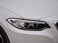 宝马2系（进口） 220i 2.0T 运动设计套装版 2014款图片