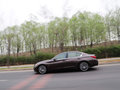 英菲尼迪Q50 2014款 3.7L 豪华运动版图片