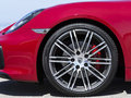 Cayman 2014款 Cayman圖片