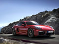 Cayman 2014款 Cayman圖片