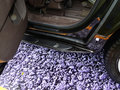 昂科雷（进口） 3.6L 自动 两驱精英舒适型 2014款图片