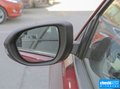 福睿斯 圖片