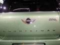 MINI COUNTRYMAN 图片