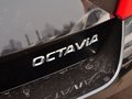 明銳 1.6L 自動 逸杰版 2015款圖片