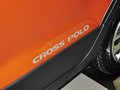 Polo 1.6L AT Cross 2014款图片