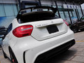 奔驰A级AMG(进口) 2014款 A45 AMG 运动定制版图片