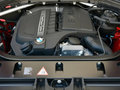 宝马X4 xDrive35i M运动型 2014款图片