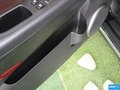 雷斯特W 图片