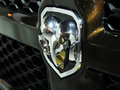 RAM Trucks霸王龙 1500 Mossy Oak Edition 2014款图片