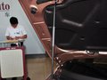中华H530 1.6L 自动 豪华型 2014款图片