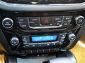 豪情（SUV） 2014款 豪情（GX9）2.4L 自动两驱尊享型 7座图片
