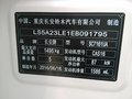 启悦 图片