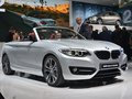 宝马2系（进口） 220i敞篷轿跑车 M运动型2015款