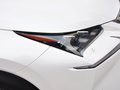 雷克萨斯NX 2015款 雷克萨斯 NX300h 全驱锋致版图片
