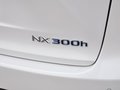 雷克萨斯NX 2015款 雷克萨斯 NX300h 全驱锋致版图片