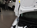 朗动 2015款 1.6L 手动 领先型图片