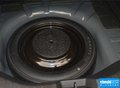 福睿斯 圖片